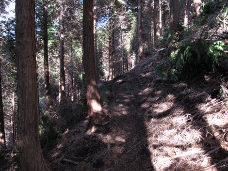 20161216hike (96)